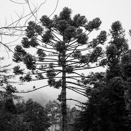 Cabana Mimosa Monte Verde  Luaran gambar